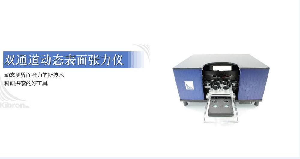 双通道动态蜜桃AV免费观看